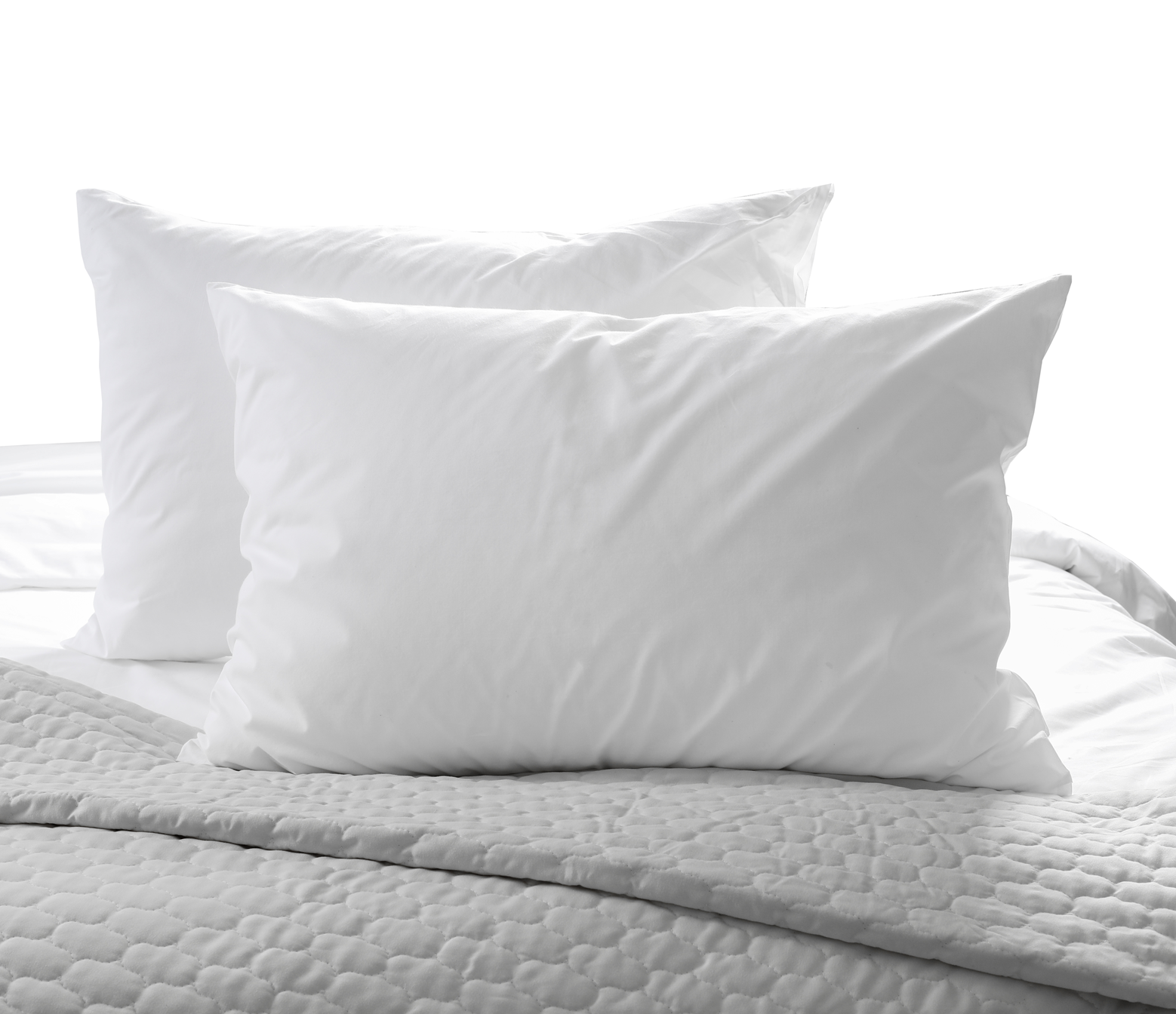 Mayfair 2 Pc Set Feather & Down Pillows Mayfair