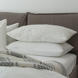 MAYFAIR DOWN 2PC SET PILLOW Home and beyond